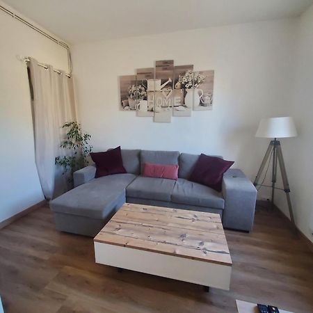 Appartement Lumineux En Centre-Ville Neuves-Maisons Zewnętrze zdjęcie